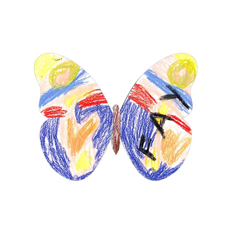 Original Butterfly Image