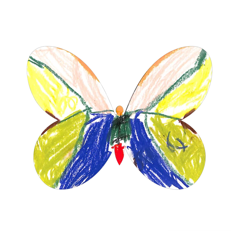 Original Butterfly Image