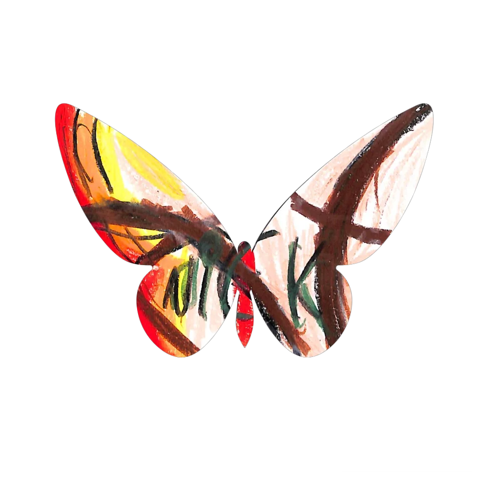 Original Butterfly Image