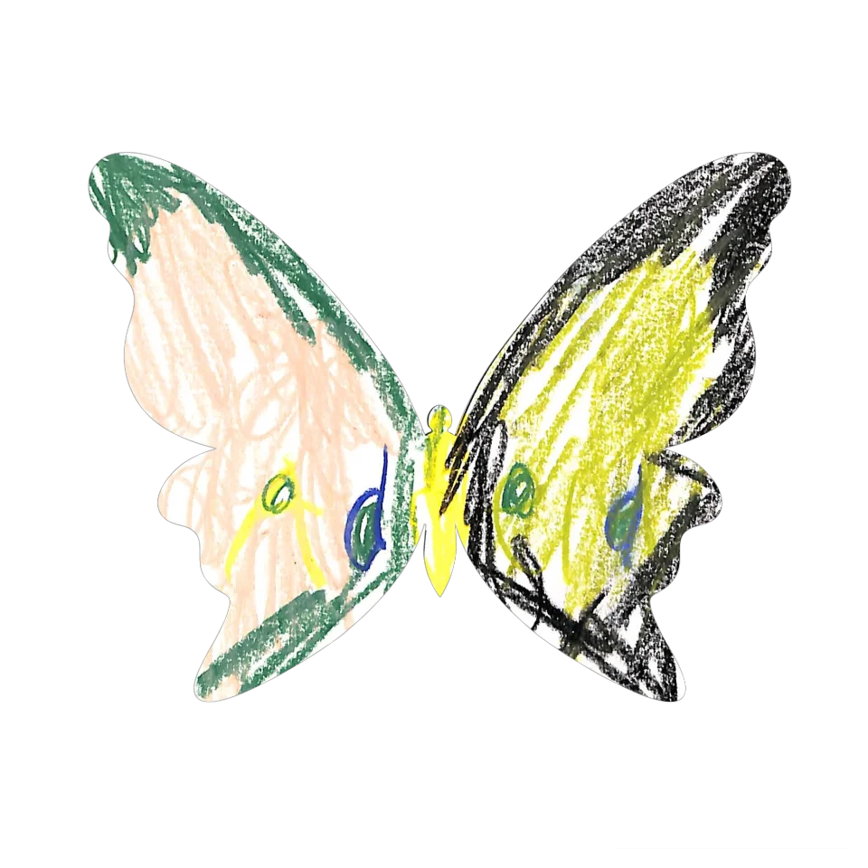 Original Butterfly Image