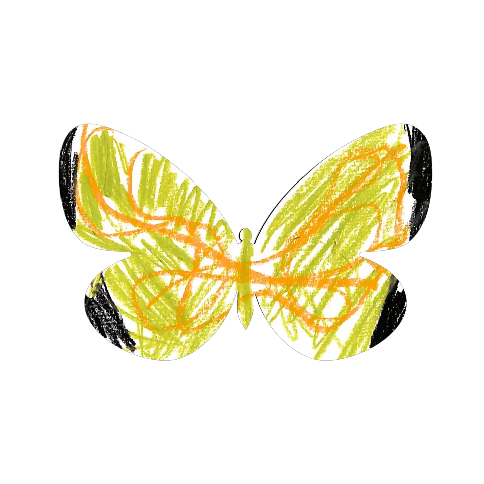 Original Butterfly Image