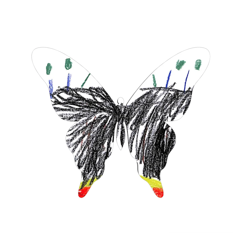 Original Butterfly Image