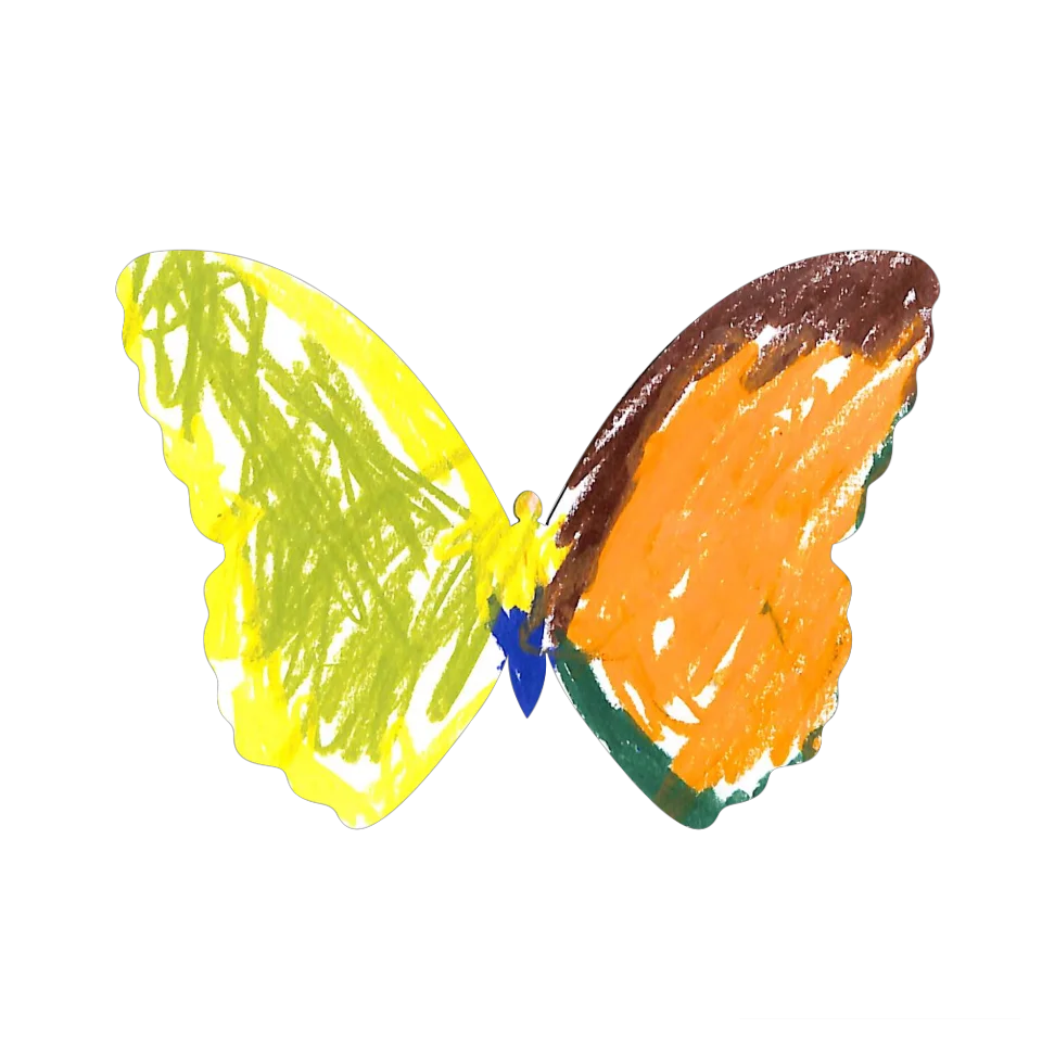 Original Butterfly Image