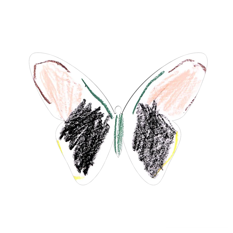 Original Butterfly Image