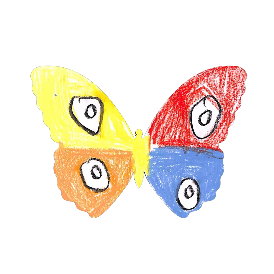 Original Butterfly Image