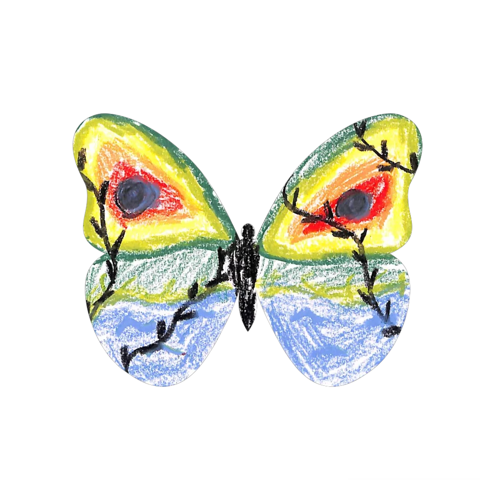 Original Butterfly Image