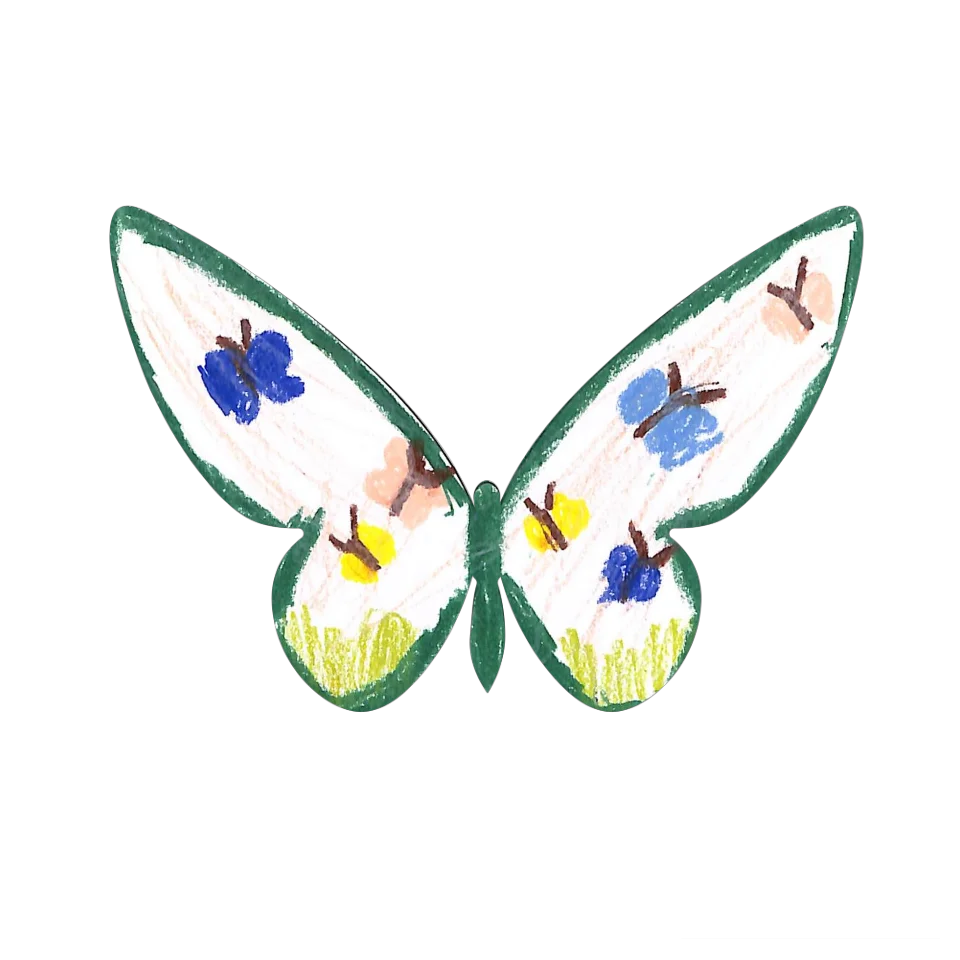 Original Butterfly Image