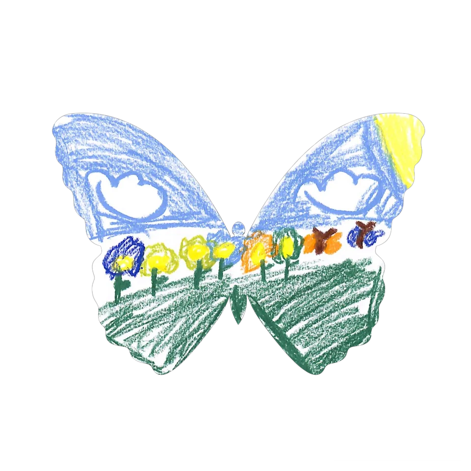Original Butterfly Image
