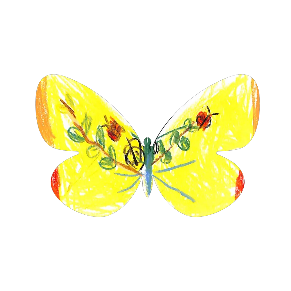 Original Butterfly Image