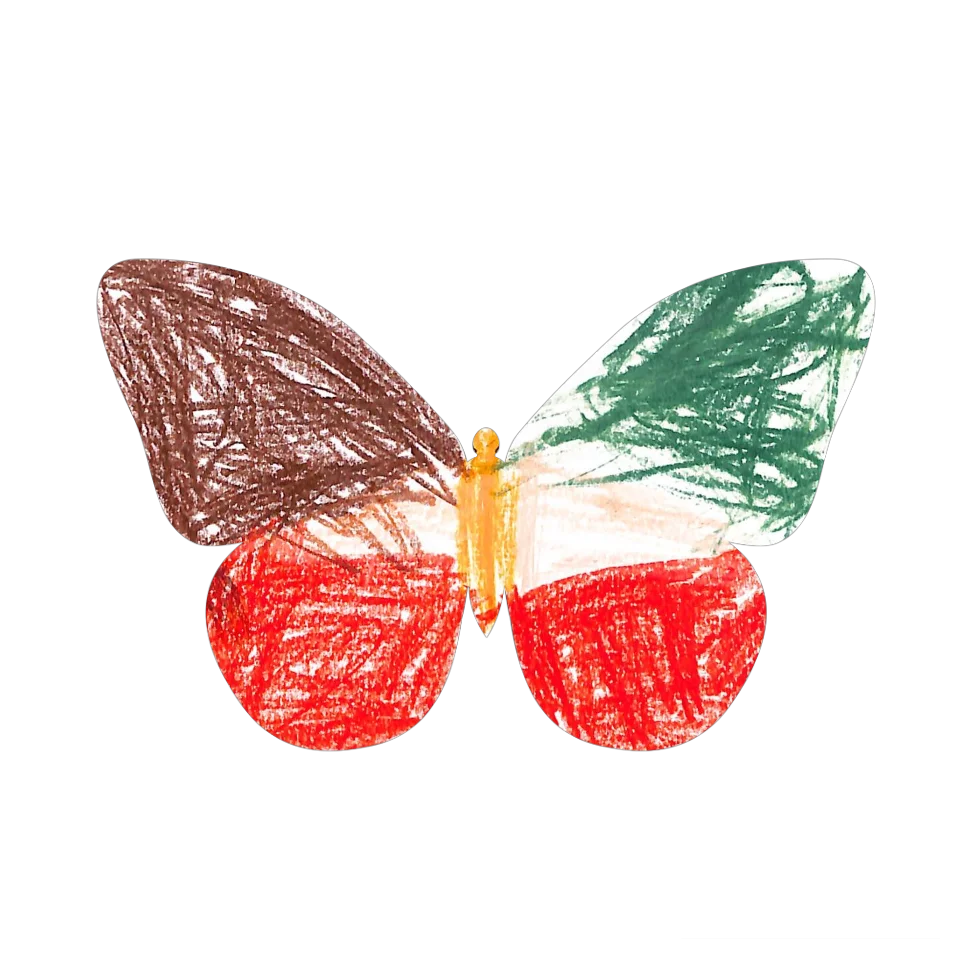 Original Butterfly Image