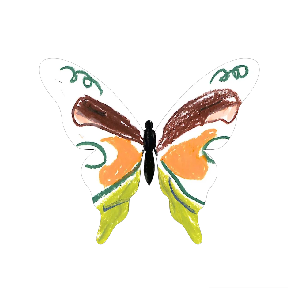 Original Butterfly Image