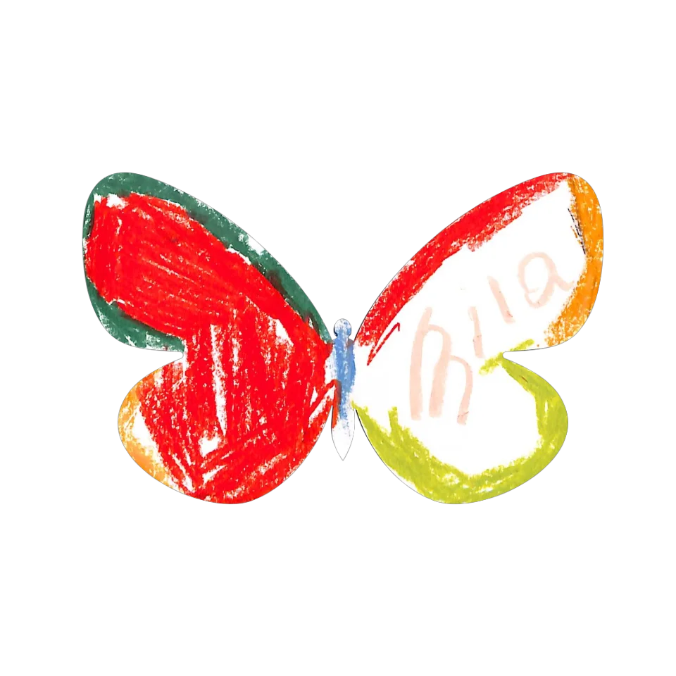 Original Butterfly Image