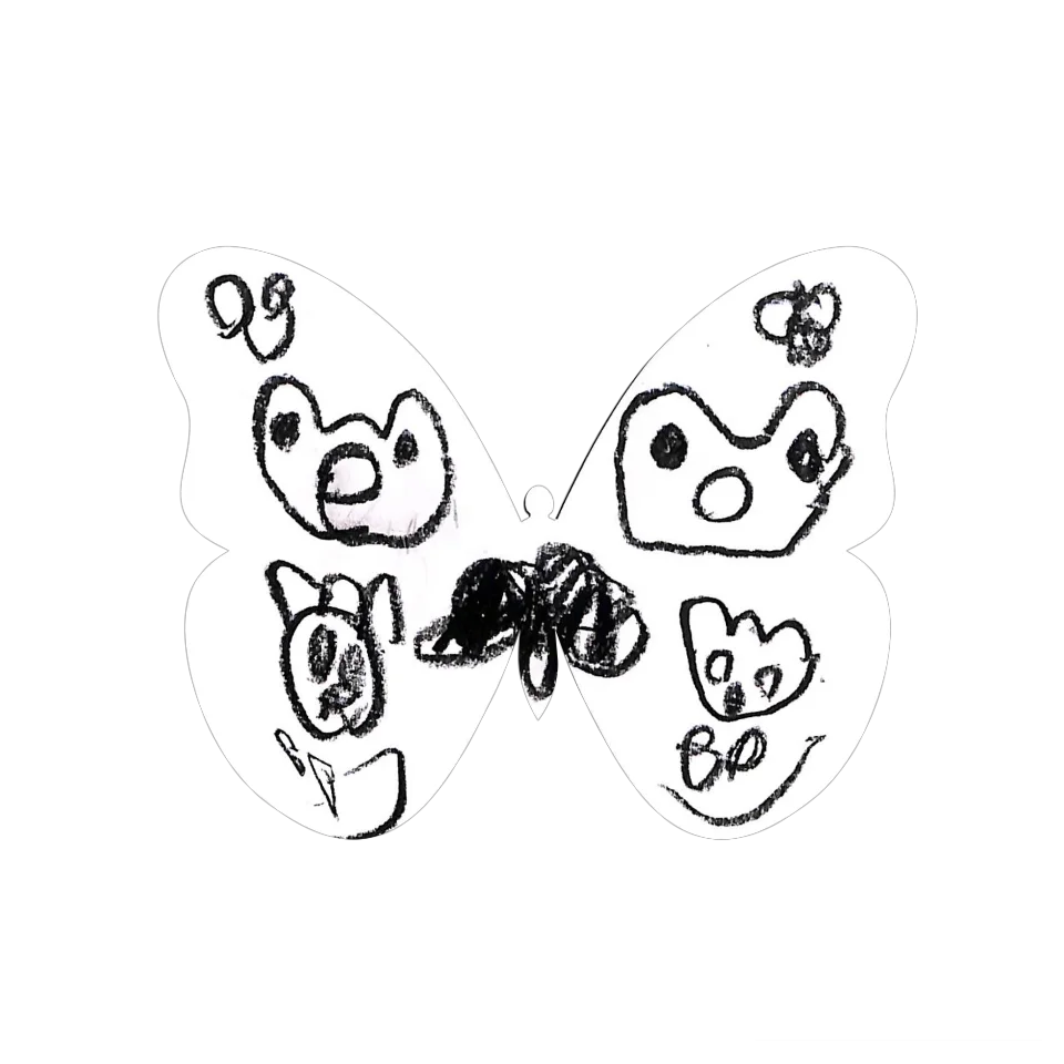 Original Butterfly Image