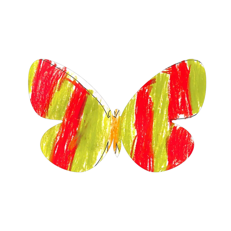 Original Butterfly Image