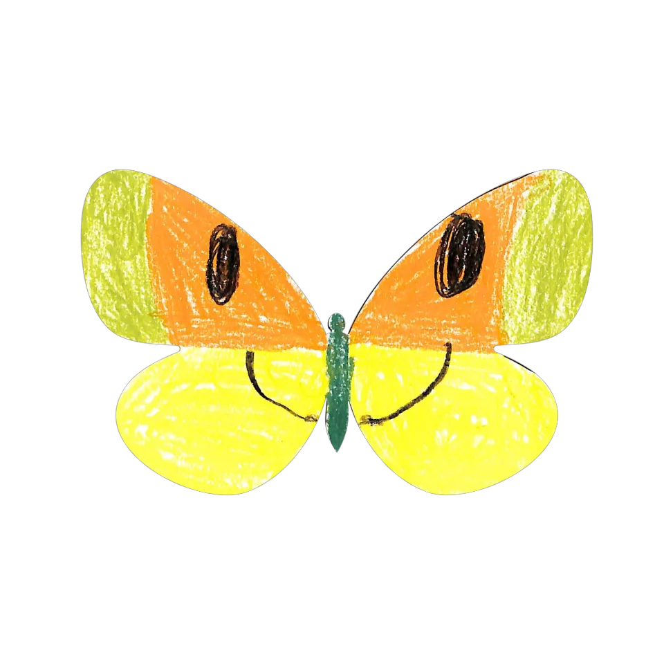Original Butterfly Image