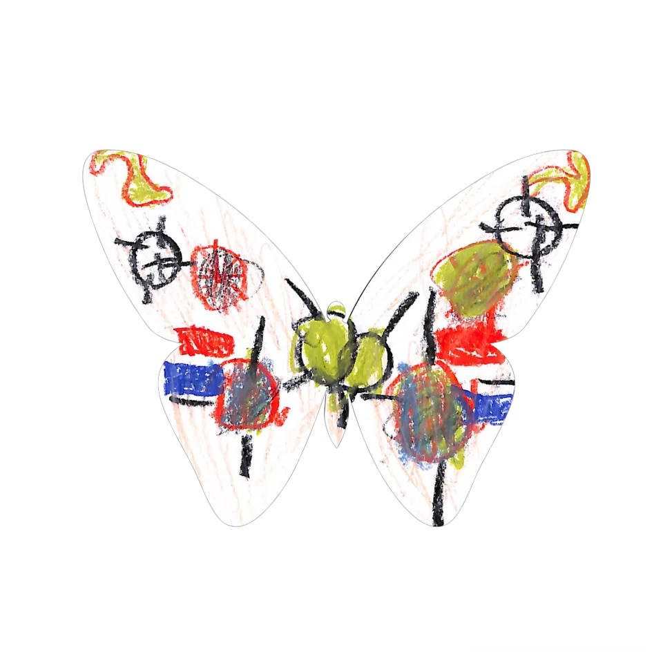 Original Butterfly Image