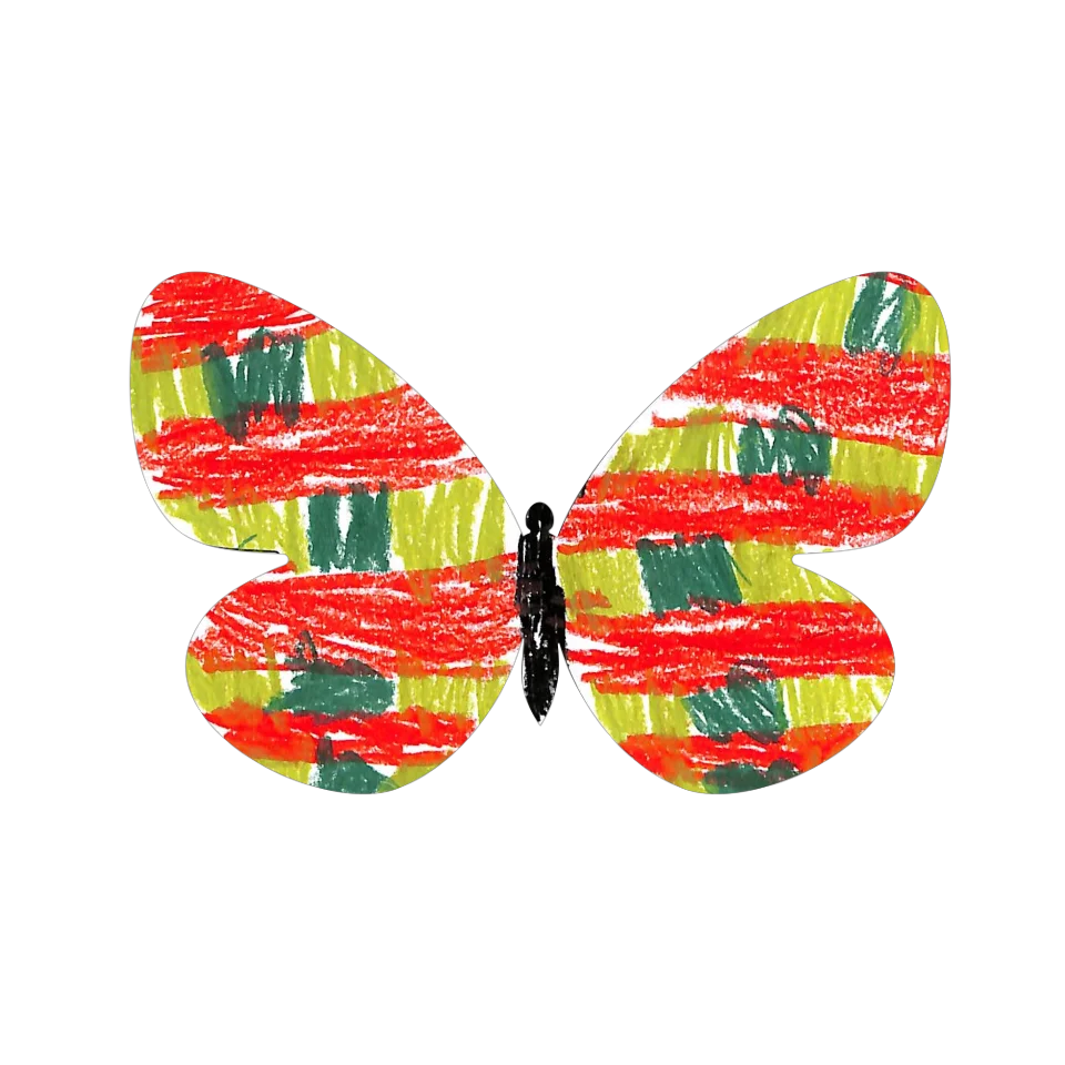 Original Butterfly Image