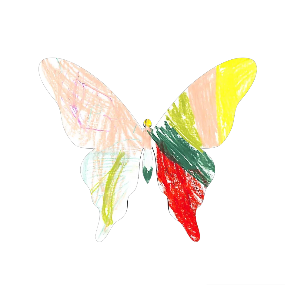 Original Butterfly Image