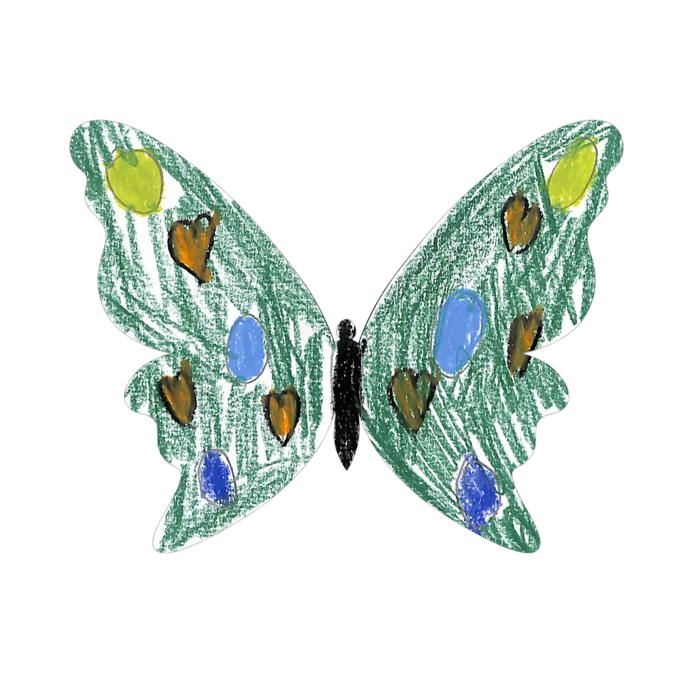 Original Butterfly Image