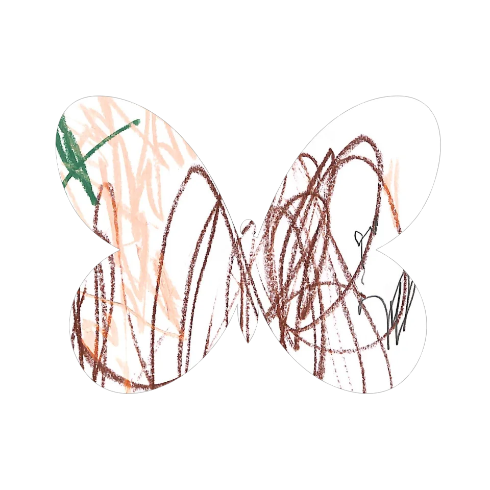 Original Butterfly Image