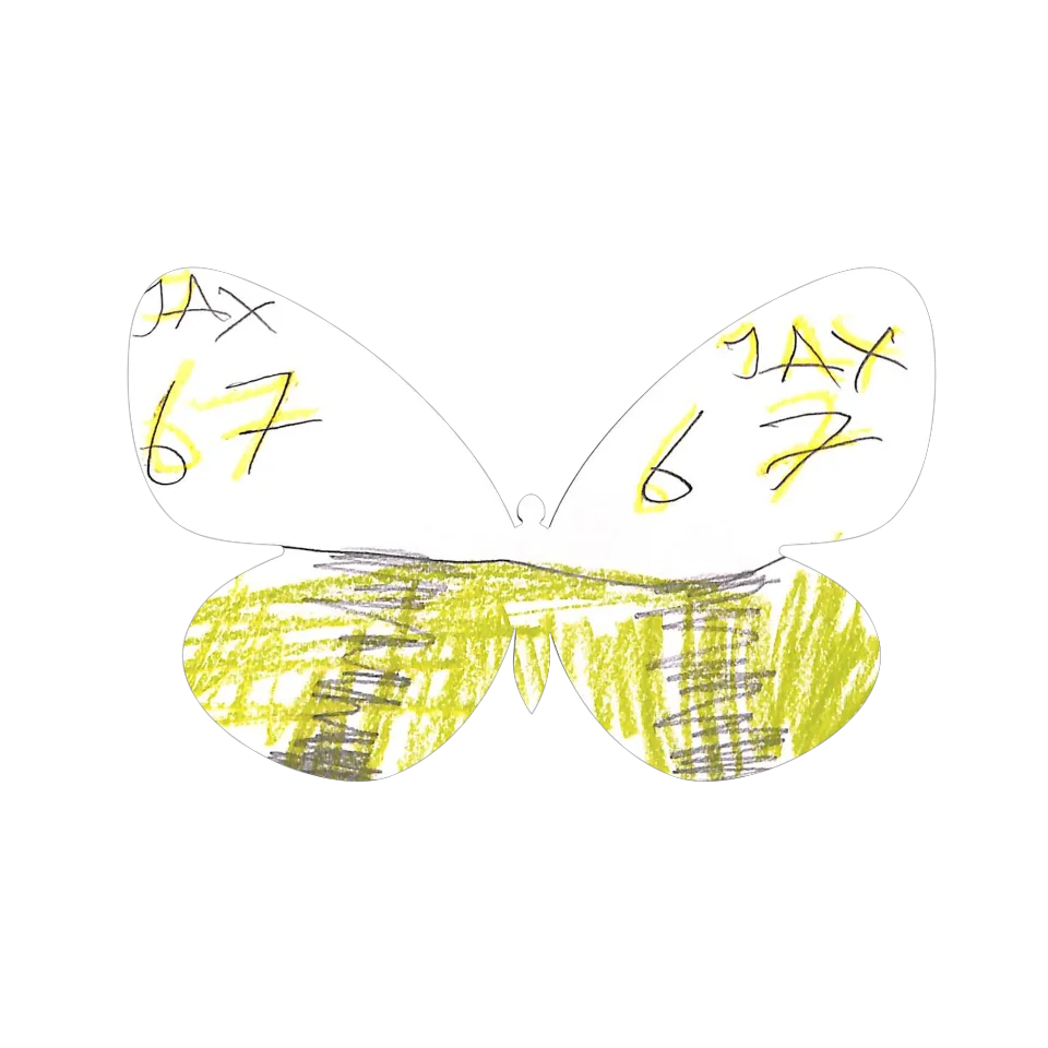 Original Butterfly Image