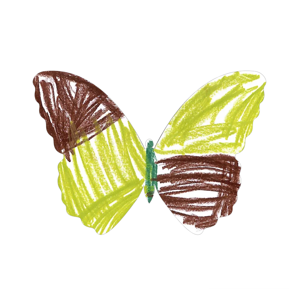 Original Butterfly Image