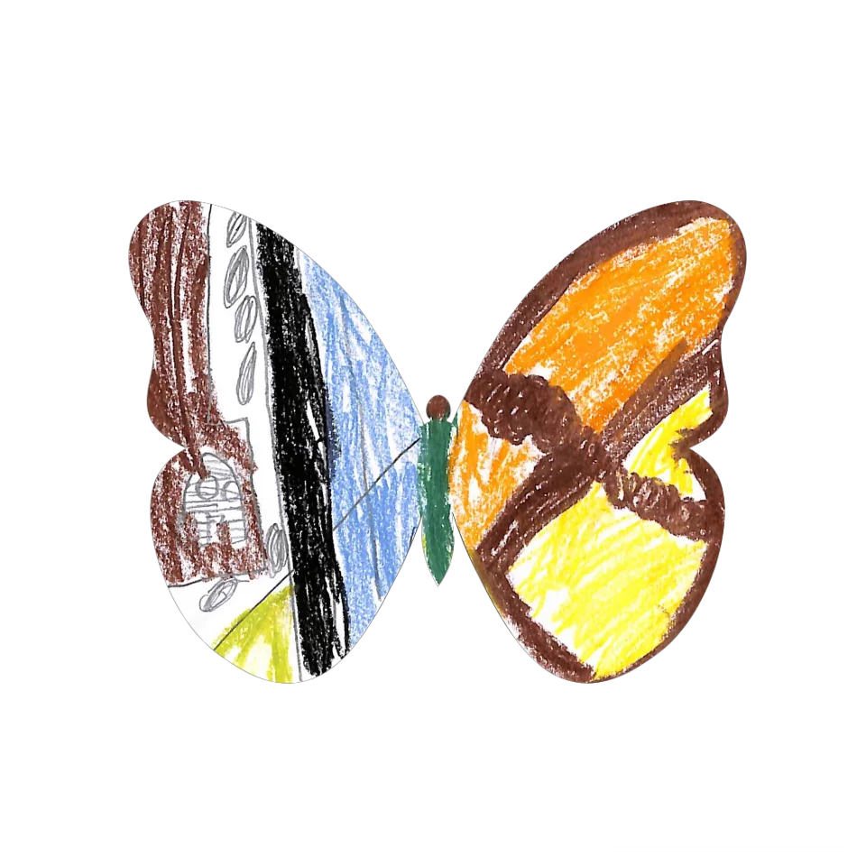 Original Butterfly Image