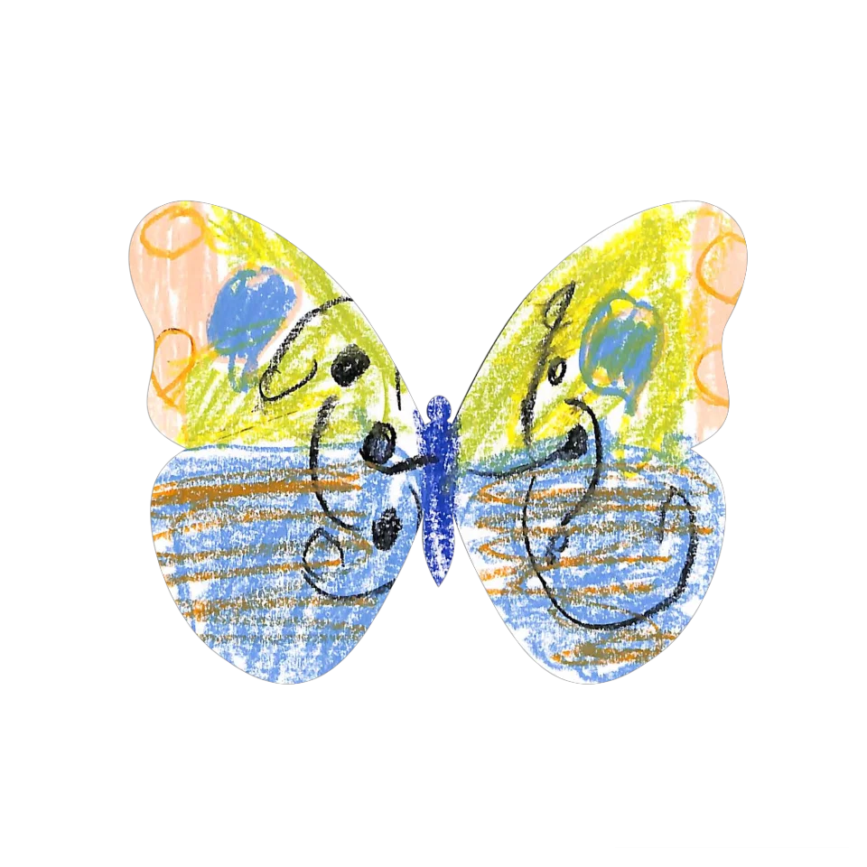 Original Butterfly Image