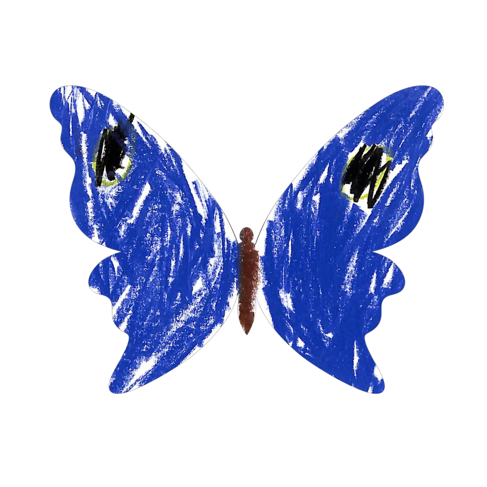 Original Butterfly Image