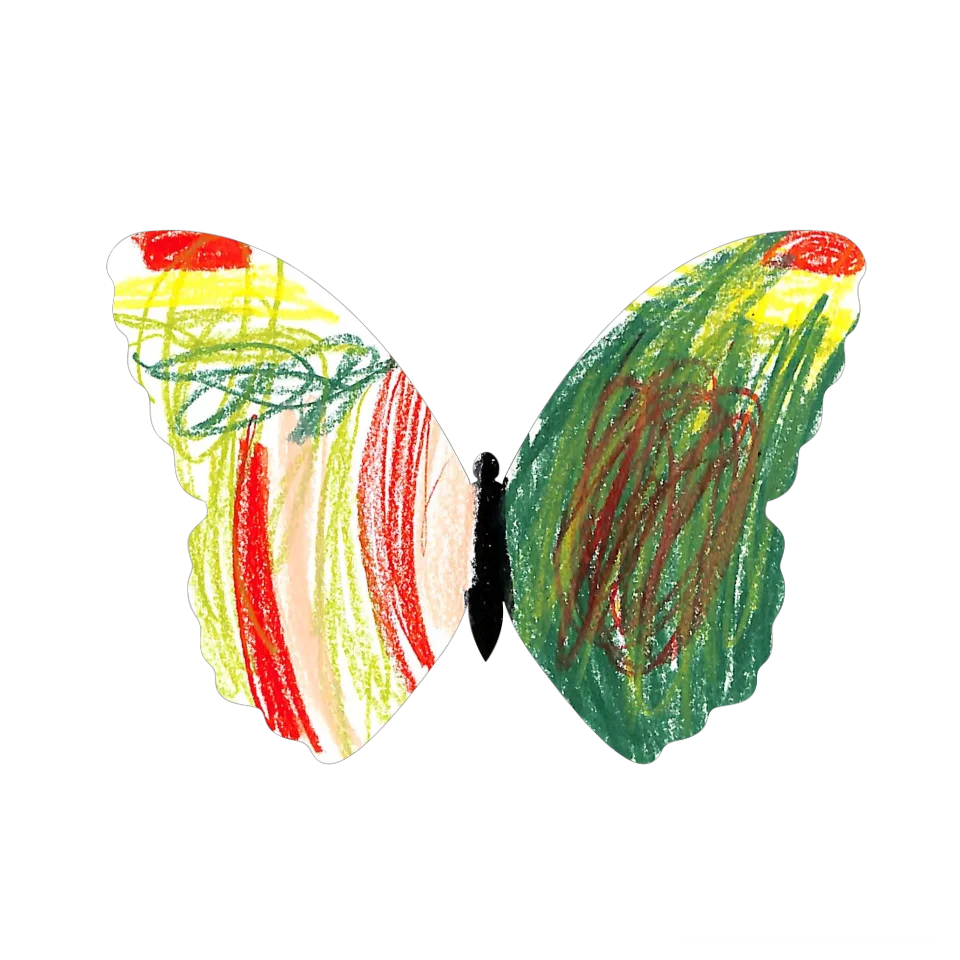 Original Butterfly Image