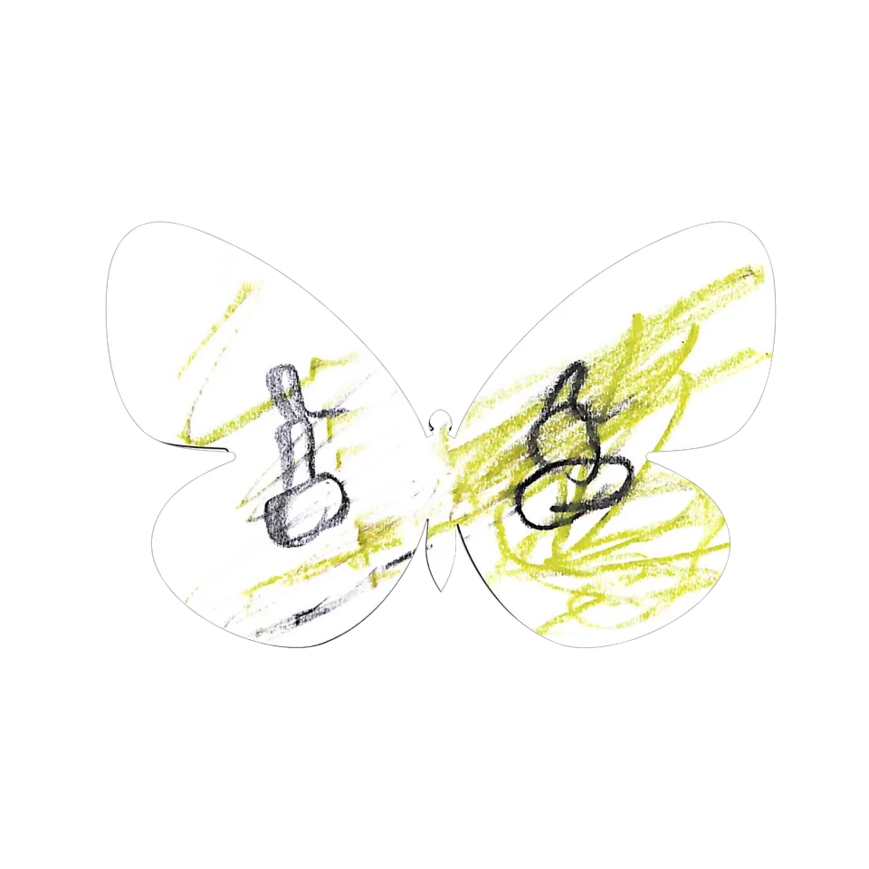 Original Butterfly Image