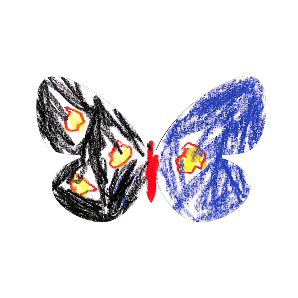 Original Butterfly Image