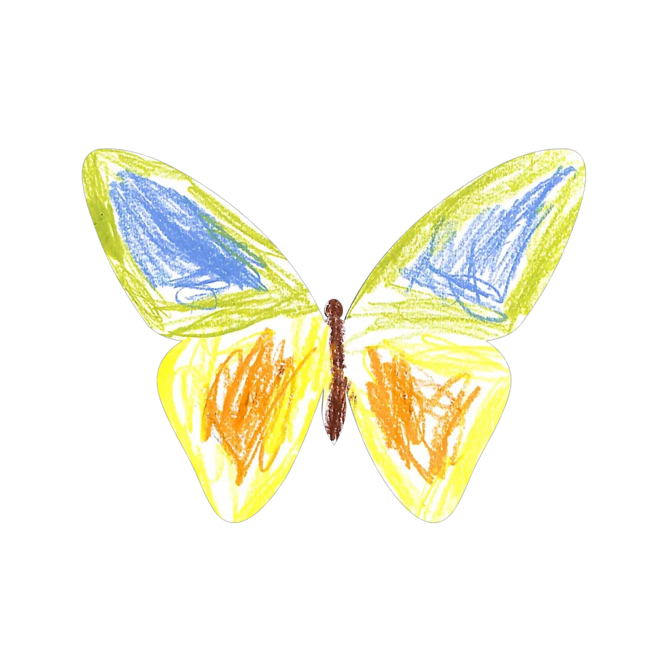 Original Butterfly Image