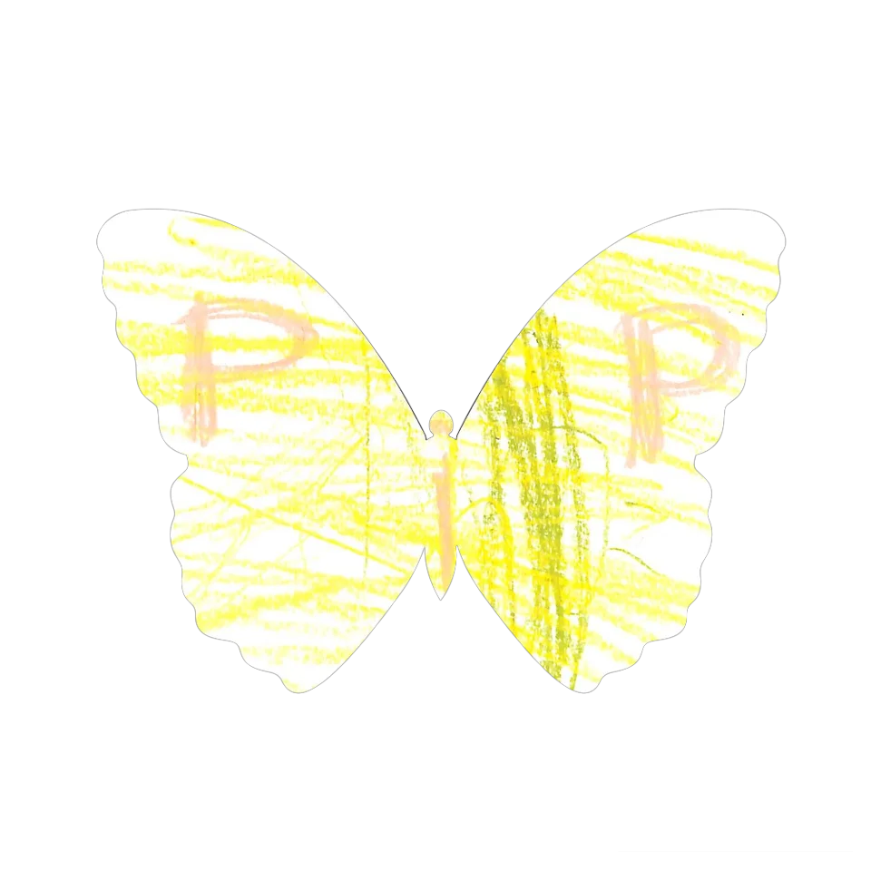 Original Butterfly Image