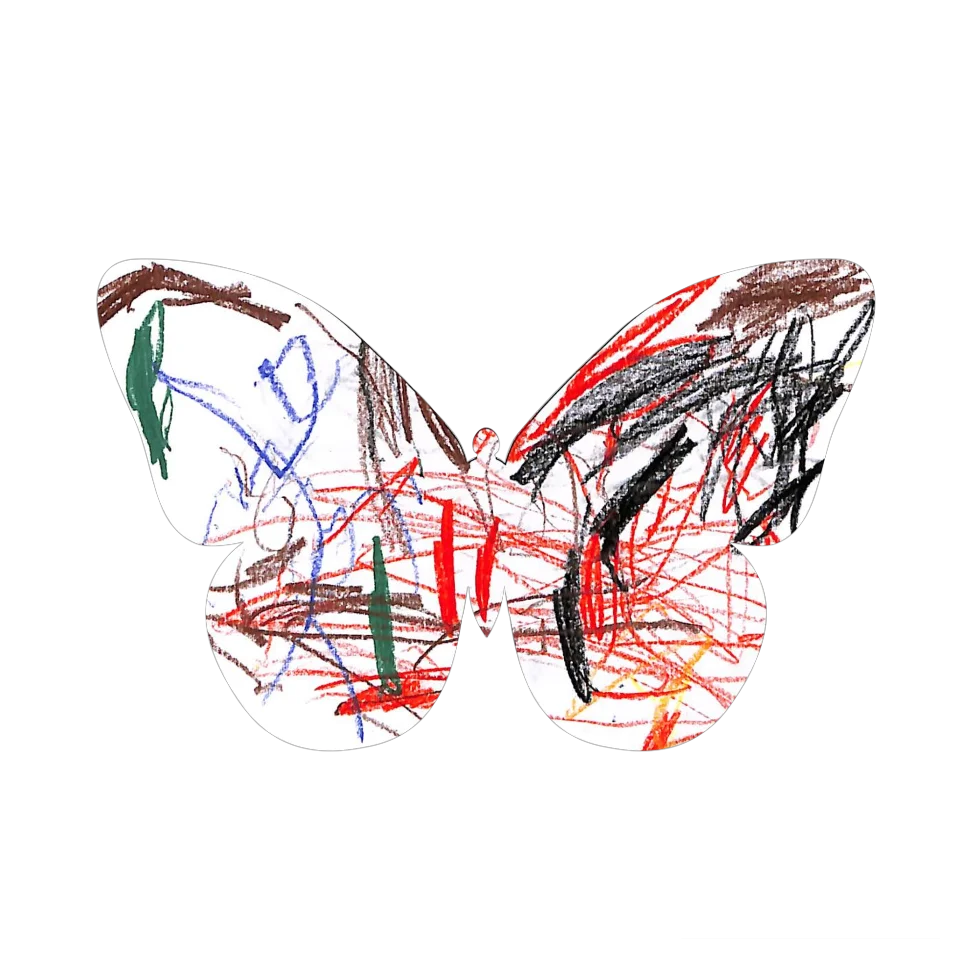 Original Butterfly Image
