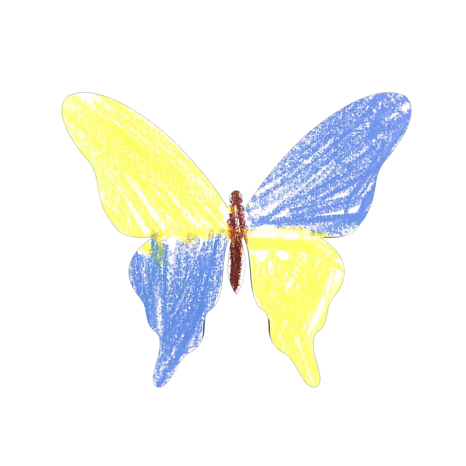 Original Butterfly Image