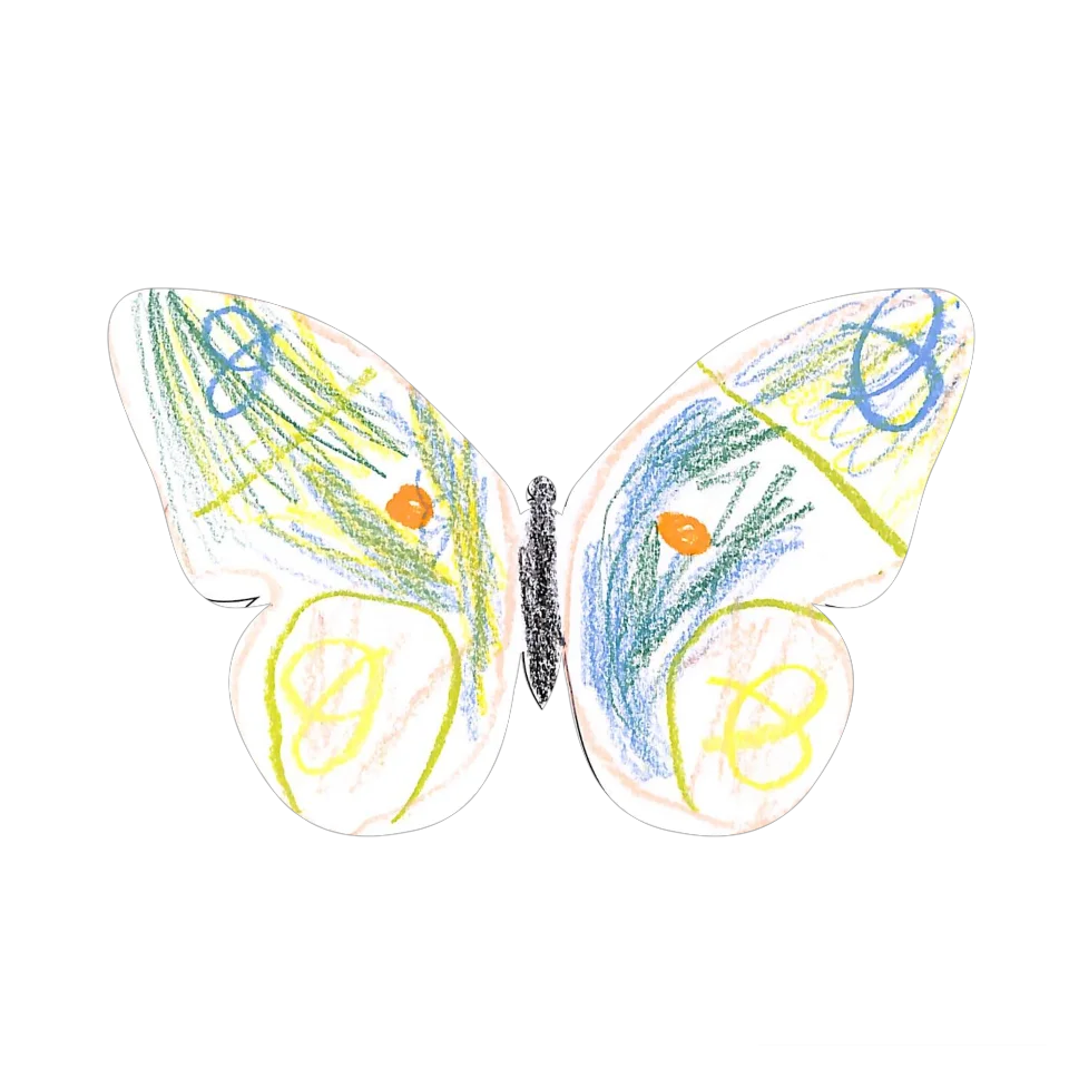 Original Butterfly Image