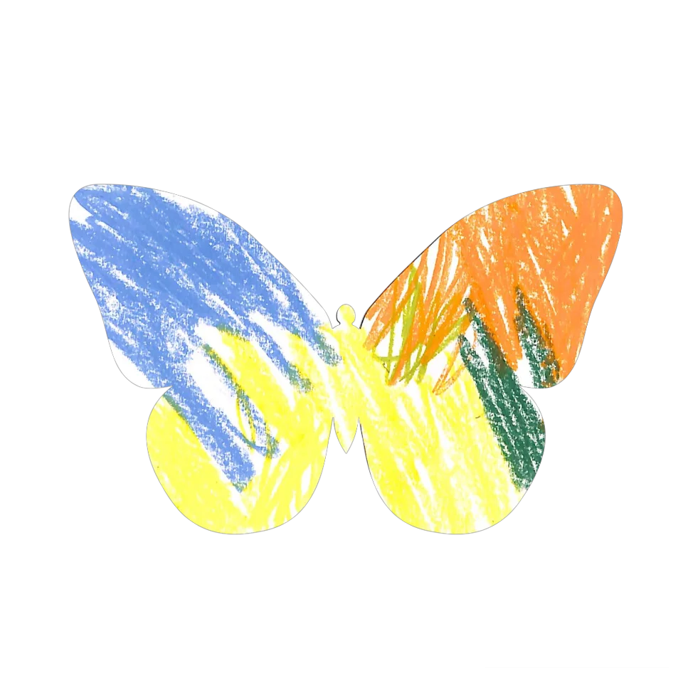 Original Butterfly Image