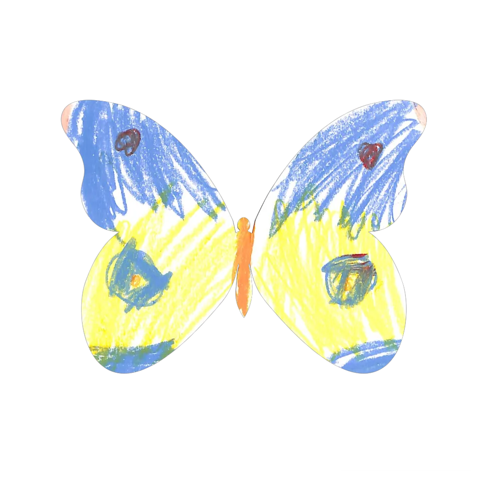 Original Butterfly Image