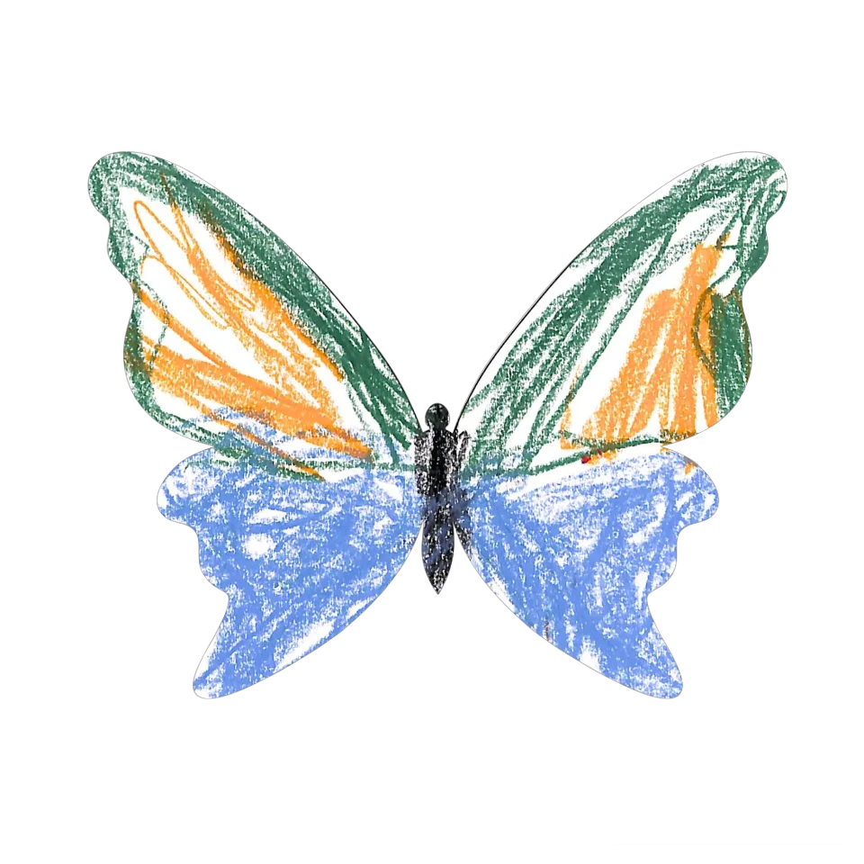 Original Butterfly Image