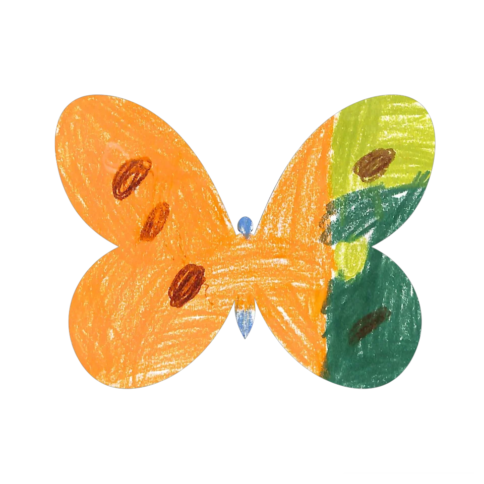 Original Butterfly Image