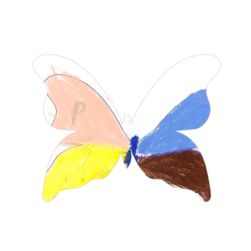 Original Butterfly Image