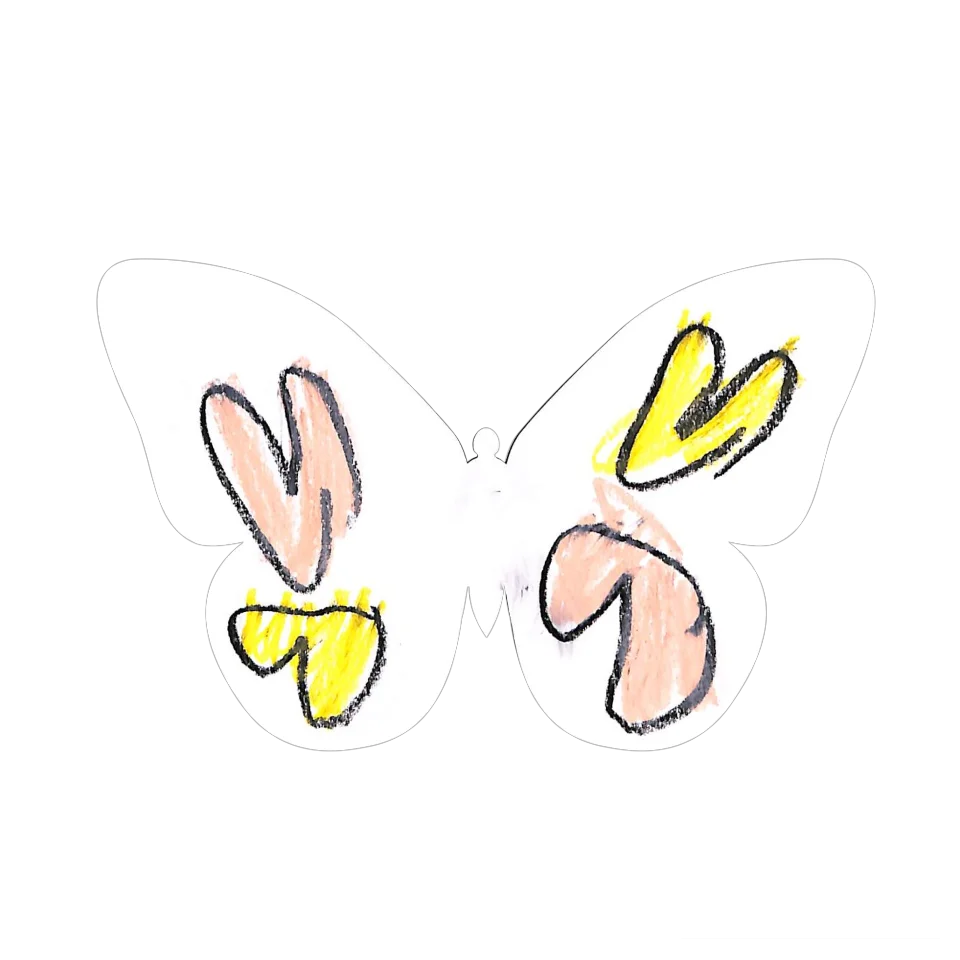 Original Butterfly Image