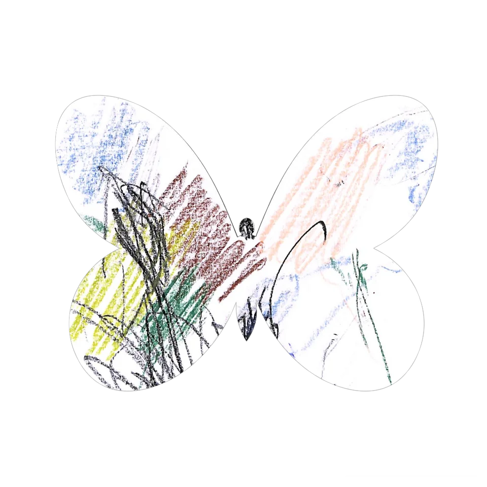 Original Butterfly Image