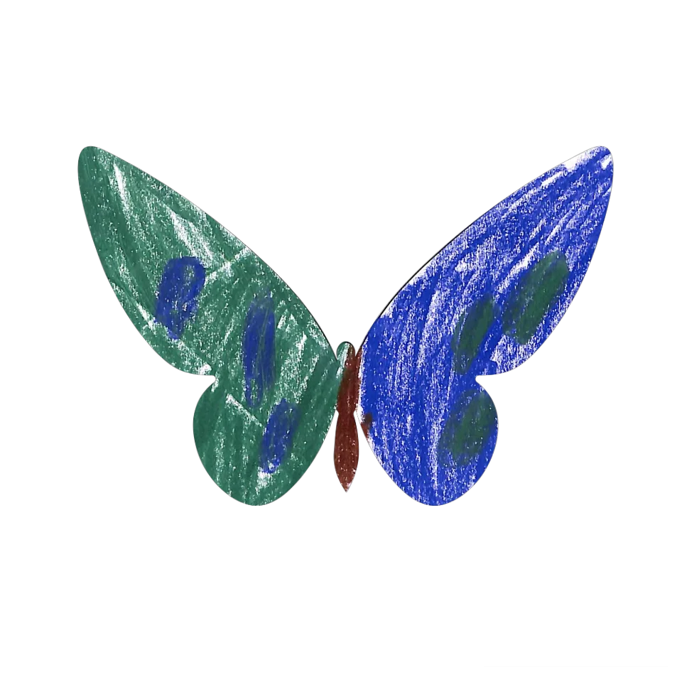 Original Butterfly Image