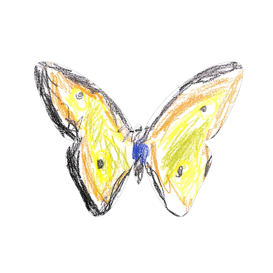 Original Butterfly Image