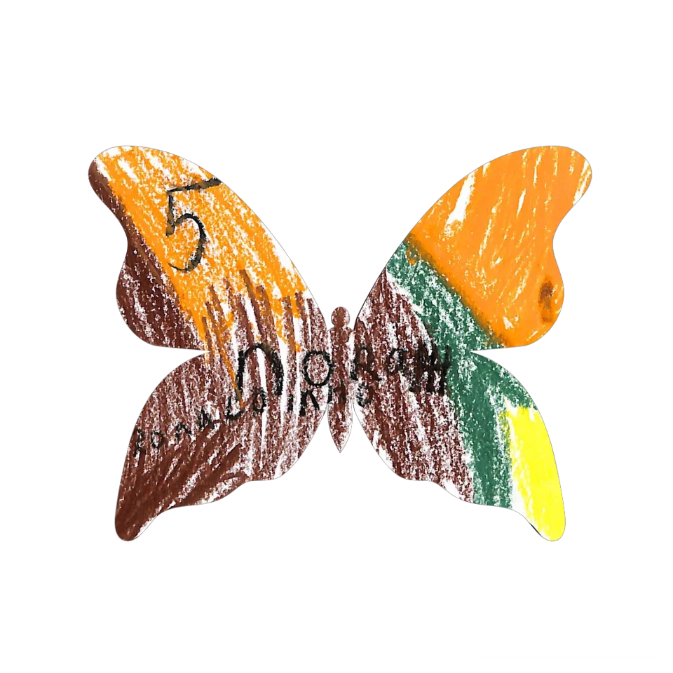 Original Butterfly Image