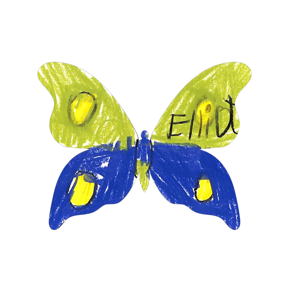 Original Butterfly Image