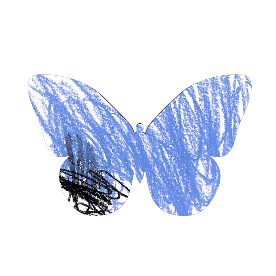 Original Butterfly Image
