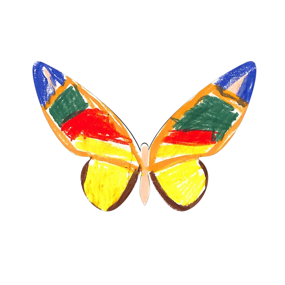Original Butterfly Image